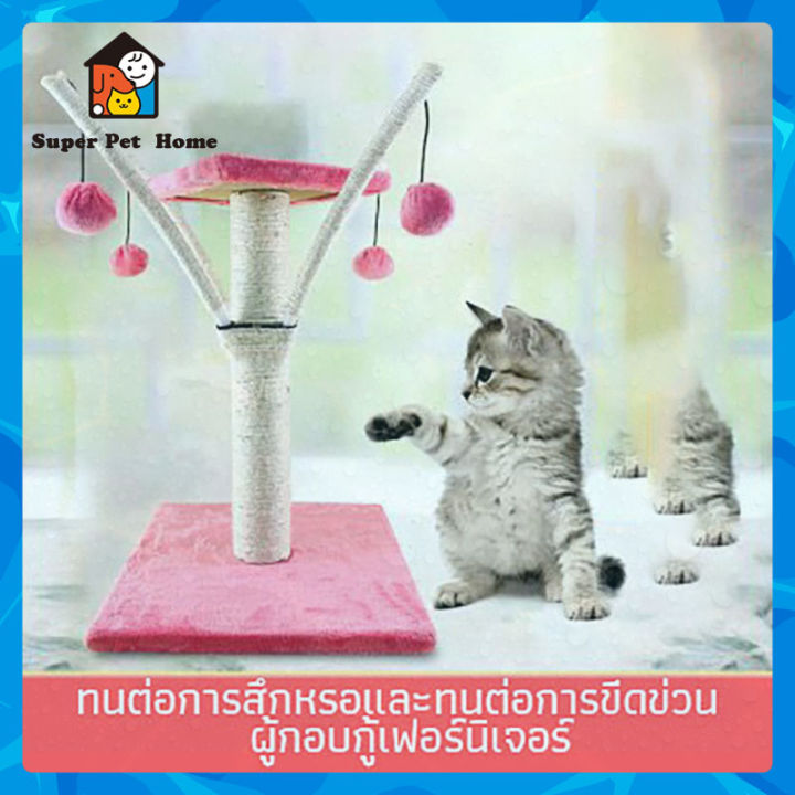 เสาลับเล็บแมว-คอนโดแมว-ที่ขูดเล็บแมว-สินค้าอยู่ไทย-พร้อมส่ง-ไม่ต้องพรีออเดอร์-อุปกรณ์เลี้ยงแมวราคาถูก-ส่งจริง