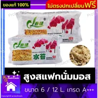 สูงสแฟกนั่มมอส ขนาด 6 / 12 L. เกรด A+++ วัสดุปลูก เพาะต้นกล้า วัสดุปลูกเก็บความชุ่มชื้นให้กับต้นไม้ วัสดุล่อราก ผลิตภัณฑ์จากธรรมชาติ ใช้งานได้นาน ใช้ปลูกไม้กระถาง กล้วยไม้ เพาะเมล็ด ปักชำ 1 ชิ้น รับประกันสินค้าเสียหาย Protech Tools Shop