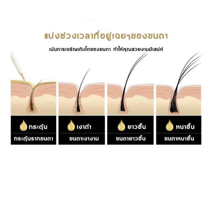 miedir-long-thick-curled-เซรั่มบำรุงขนตา-3ml-มาสคาร่า-เซรั่มขนตายาว-คิ้ว-ของแท้-พร้อมส่ง