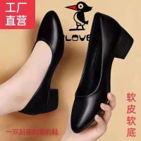 ♟► PLOVER factory direct sales genuine leather womens shoes soft pure leather 2022 new style medium heel round toe shallow mouth thick heel work shoes