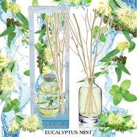 ขายดี? ฟุ้งสบายไม้หอม 40 ML กลิ่น EUCALYPTUS MINT ยูคาลิปตัสมิ้น