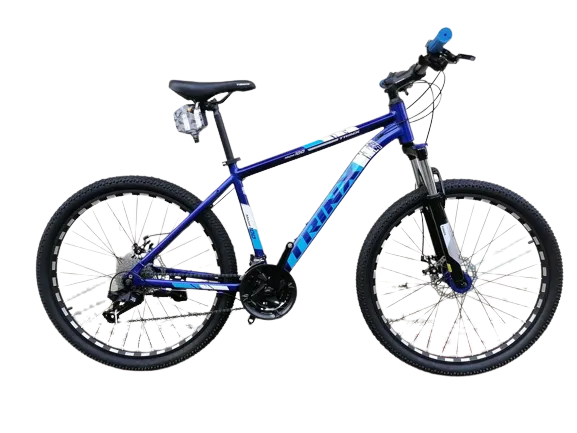 trinx mountain bike blue