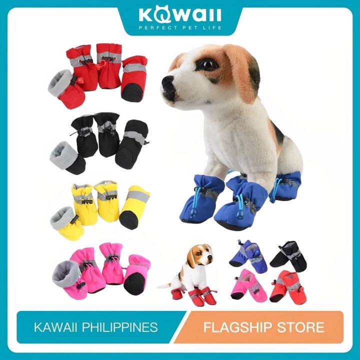 Dog store shoes lazada