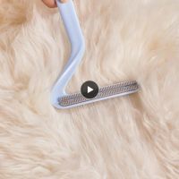 ♣ Lint Fluff Remover Newest Fur Remover Scraper Sticky Roller Shaver Brush Cleaning Tools Mini Fabric Dog Cat Pet Hair Portable