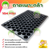 ถาดเพาะกล้า 104 หลุม แบบมีขอบ ( 20 ใบ ต่อ 1 แพ็ค)  ถาดเพาะชำ มีหลุม มีขอบ มีบริการเก็บเงินปลายทาง