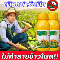 ?ไม่ทำลายข้าวโพด! ของแท้แน่นอน ? LPP ฆ่าหญ้าข้าวโพด ยาชุดข้าวโพด 100g เข้มข้นสุดๆ (1ขวดต่อน้ำ30ลิตร) ฆ่าหญ้ารอบข้าวโพด กำจัดหญ้าในไร่ข้าวโพด​​ กำจัดวัชพืชเท่านั้น ไม่ทำลายข้าวโพด สารกำจัดวัชพืชใบแคบและใบกว้าง หญ้าตีนกา หญ้านกสีชมพู ยาฉีดหญ้าข้าวโพด