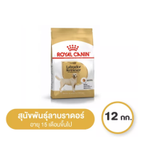 Royal Canin Labrador Retriever Adult 12 kg โรยัล คานิน อาหารสุนัขโต พันธุ์ลาบราดอร์ รีทรีฟเวอร์