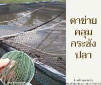 ตาข่ายป้องกันนกกินปลา ขนาด5x5m. ตาข่ายอเนกประสงค์ ใช้คลุมกระชังปลาเพื่อป้องกันนกหรือสัตว์ต่างๆ พร้อมร้อยเชือกขอบพร้อมส่ง