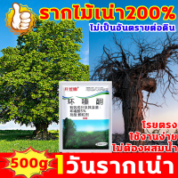 รากไม้เน่า200% ยากำจัดต้นไม้ 500g สูตรเข้มข้น ยาฆ่าต้นไม้ 1วันรากเน่า กำจัดต้นไม้ ไม่เป็นอันตรายต่อดิน ใช้งานง่าย โรยตรง ไม่ต้องผสมน้ำ บอกลาการตัดต้นไม้ด้วยตนเอง ยาฆ่าตอไม้ ผงกำจัดต้นไม้ ยาฆ่าต้นไม้ใหญ ยากำจัดต้นไม้ใหญ่ สารกำจัดต้นไม้ ยาฆ่าตอต้นไม้