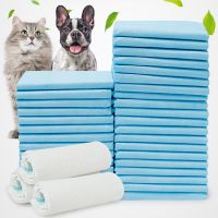 【hot】✽✻❈  10pcs Dog Training Pee Super Absorbent Diaper Disposable Nappy for Pets Supplies