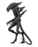 【SALE】 tangticarans1972 ภาพยนตร์ Aliens Vs Peutorer Series Aliens Covenant Defiance Lambert ชุดบีบอัด Xenomorph Warrior ของเล่น Action Figure