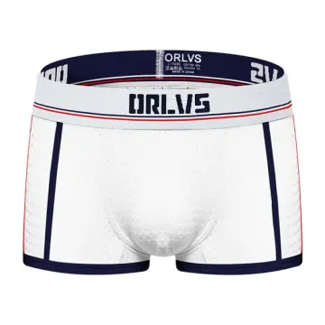 OEM Brand Boxers Shorts Mens Underwear Sexy Briefs for Man - China