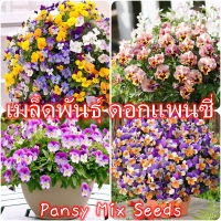 เก็บเงินปลายทาง COD 100 แคปซูลต่อแพ็ค Pansy Plants Flower Seeds เมล็ดพันธุ์ ต้นไม้ประดับ เมล็ดดอกไม้ ต้นไม้ ไม้ประดับ เมล็ด ไม้ดอก พันธุ์ไม้ดอก ต้นดอกไม้ ต้นไม้หายาก ต้น บอนสี เมล็ดบอนสี บอนสีสวยๆ เมล็ดพันธุ์ดอกไม้ อัตราการงอกสูง เมล็ดพันธุ์แท้100%