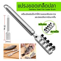 [Forte] แปลงขอดเกล็ดปลา SCALER