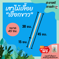 ยาว 45 ซม. หลักต้นไม้ เสาไม้เลื้อย เสาค้ำต้นไม้ เสาเชือกป่าน เชือกขาวดิบ (PVC) DIY ตกแต่งบ้าน ร้าน คอนโด สไตล์มินิมอล ทนทาน ไม่รกตา สบายตา