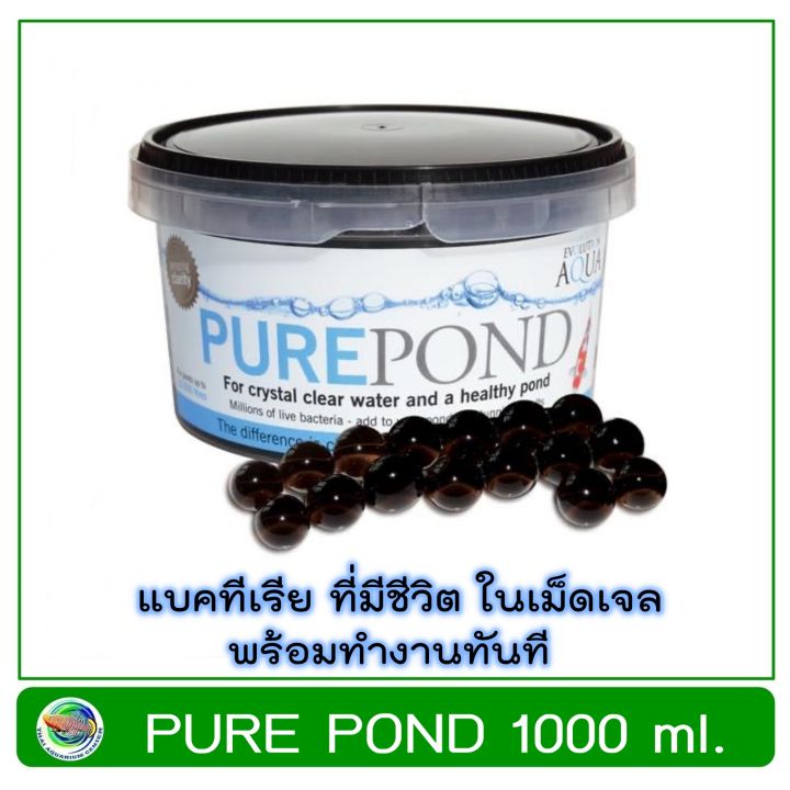 pure-pond-1000-ml-แบคทีเรีย-ที่มีชีวิตในเม็ดเจล-ช่วยบำบัดน้ำ-ระบบกรองน้ำบ่อปลา-nitrifying-bacteria