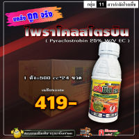 ** ขายยกลัง ** เรดบิน25-ไพราโคลสโตรบิน ( 500cc ) สารตัวเดียว เฮดไลน์ พาบินส์ ใช้ป้องกันกำจัดโรคพืช โรคกุ้งแห้ง โรคใบติด ใบใหม้แผลใหญ่