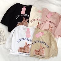 S008 เสื้อยืด oversize ผ้าคอตตอน สไตล์มินิมอล สกรีน กระต่าย2ตัว LITTLEBUNNY ?