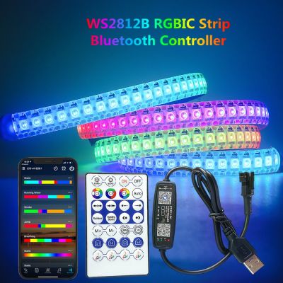 ▼✜☁ DC5V WS2812B LED Strip Bluetooth App Control RGBIC WS2812B Smart RGB Light Christmas Party Bedroom Kitchen Decoration Lamp Luces