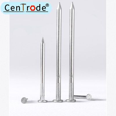 ：《》{“】= 304 Stainless Steel Nail Steel Nail Carpenter Round Nail  Lengthened Small Nail  50Pcs