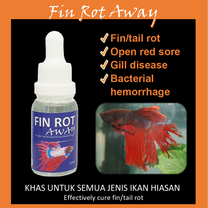 Fin Rot Away 15ml cure your betta fish disease / Reput sirip /Reput Ekor / Antibacterial / Anti