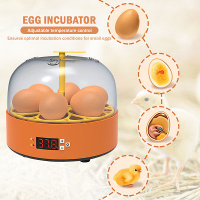 นกนกกระทาไก่ Hatcher Turner Mini Chick Incubator ปรับอุณหภูมิควบคุมการฟักไข่ Speed Improvement