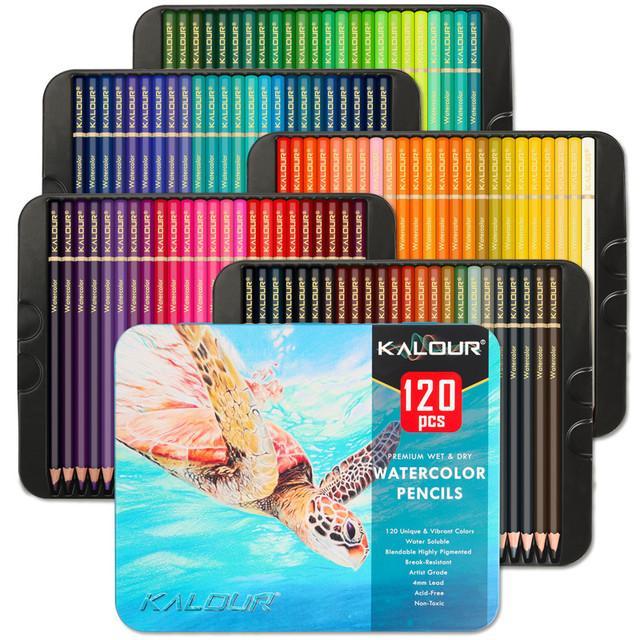 Castle Art Supplies 120 Watercolor Pencils Tin Set for Adult Artists and Professionals