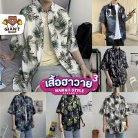 GIANTSHOP เสื้อฮาวาย เสื้อเชิ้ต hawaii หลายสไตล์ 80 แบบ SEASON 3