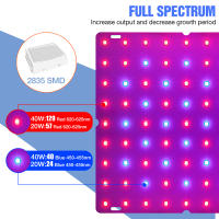 LED Grow Light Diode Full Spectrum Quantum Board Phyto โคมไฟ LED Hydroponics พืชหลอดไฟ81 169Leds เรือนกระจกต้นกล้า Growth