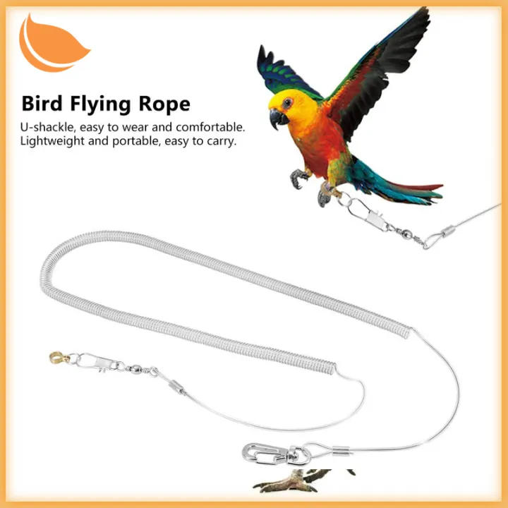 Bird Leash Parrot Harness Leash Parrot Anti-bite Birds Harness Outdoor ...