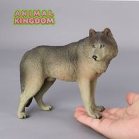 Animal Kingdom - โมเดล Wolf หมาป่า เทา ขนาด 18.00 CM (จากสงขลา)