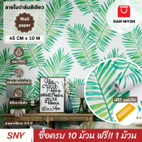 Siam Niyom สยามนิยม วอลเปเปอร์ติดผนัง ลายใบปาล์มสีเขียว วอลเปเปอร์ วอลเปเปอร์ผนัง wallpaper ติดผนัง wallpaper wallpaper ติดผนังปูน วอลเปเปอร์ ติด ผนัง