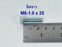 สกรูมิลขาวเกลียวตลอด ปะแจเบอร์10 ขนาด M6-1.0 x 25 (บรรจุ 100 ตัว)