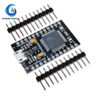 Micro USB ATmega32U4 AU 5V 16MHz Microcontroller Module For Arduino Nano System Programing Development Tools