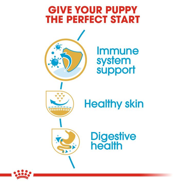 royal-canin-pug-puppy-โรยัล-คานิน-อาหารเม็ดลูกสุนัข-พันธุ์ปั๊ก-อายุต่ำกว่า-10-เดือน-กดเลือกขนาดได้-dry-dog-food