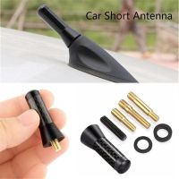 Car Styling Roof Antenna 1.4 quot; Carbon Fiber Car Short Antenna Metal Short Stubby Mast Antenna Radio Auto Accessories Drop Ship