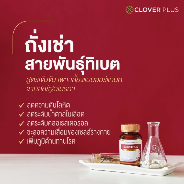 2-กระปุกสุดคุ้ม-clover-plus-cordy-us-คอร์ดี้-ยูเอส-ถังเช่า-ถั่งเช่า-ทิเบต-แถมฟรี-multi-b-ginkgo-7-แคปซูล