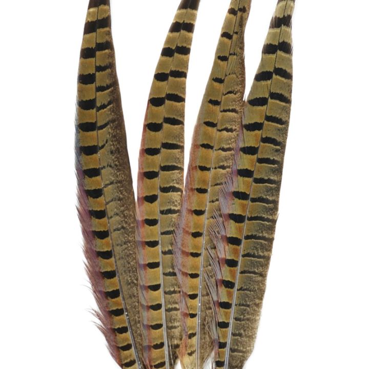 touch-of-nature-ringneck-pheasant-feathers-4-pcs-natural