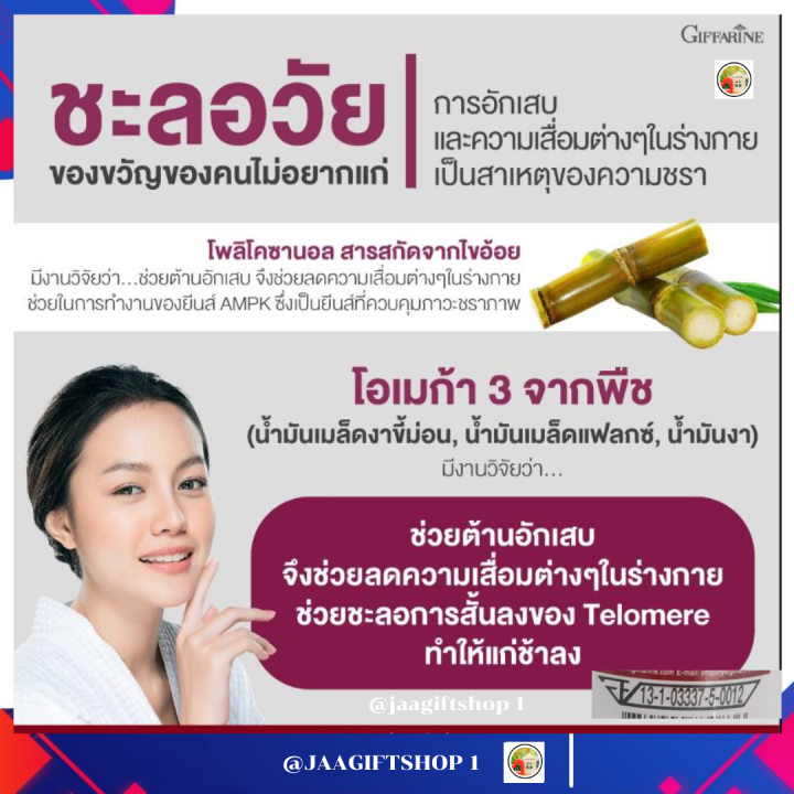 ส่งฟรี-โอเมก้า-3-จากพืช-กิฟฟารีน-30-แคปซูล-น้ำมันเมล็ดงาขี้ม่อน-น้ำมันเมล็ดแฟลกซ์-น้ำมันงา-อี-ดี3-โคซานอล-มัลติ-แพลนท์-โอเมก้า-3-ออยล์