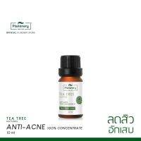 ? PIantnery Tea Tree Oil Acne Spot 10 ml แพลนท์เนอรี่ น้ำมันที ทรี    ลดการเกิดสิ วใหม่ [รุ่นใหม่ แฟร์ชั่น]