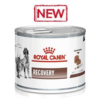 อาหารสัตว์ป่วย พักฟื้น Royal Canin Recovery exp.24/04/23