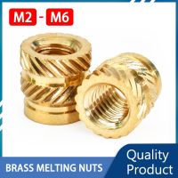 Hot Melt Insert Nuts Laptop M2 M3 M4 M5 Melting Knurled Thread Heating Injection Molding Embedment Copper Nut 3D Printer Brass Colanders Food Strainer