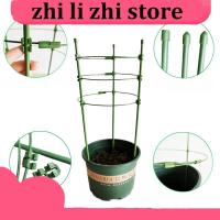 zhilizhi Store Garden Plant Bracket Holder Climbing Vine Rack Potted Support Frame Plastic Coated Steel Vegetables Decorative Trellis