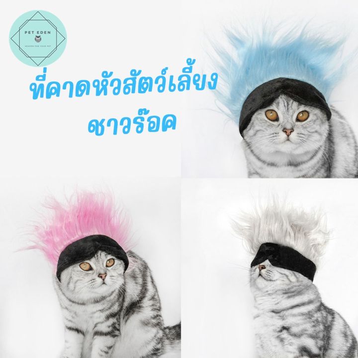 ผ้าคาดหัวชาวร๊อคของสัตว์เลี้ยง-หมวกสัตว์เลี้ยง-หมวกแมว-หมวกหมา-rock-n-roll-pet-headband-โกโจ