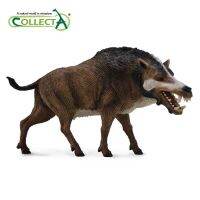 สะสมสิ่งมีชีวิตโบราณ Daeodon Enodon ของเล่นคลาสสิกสำหรับเด็กผู้ชายเด็กของขวัญสัตว์รุ่น