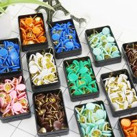 Multi Color Metal Thumb Tacks Round Head Push Pins For Boards Colorful Decorative Map Pins Wall Cork Board Thumbtack 100pcs Clips Pins Tacks