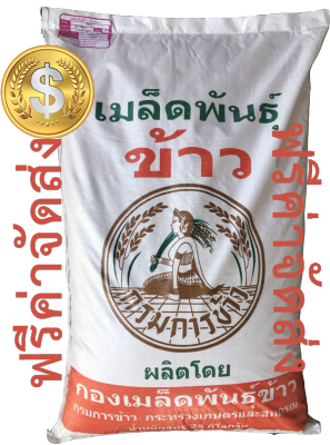 (จัดส่งฟรี) พันธุ์ข้าวเหนียว กข6 กรมการข้าว(คลุกสารป้องกันเชื้อรา Mancozeb) บรรจุ 25 กก.