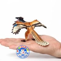 Munich Play - โมเดล ไดโนเสาร์ Archaeopteryx ขนาด 11.00 CM (จากหาดใหญ่)