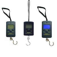 Multifunctional Mini 40kg/10g Electronic Hanging Fishing Luggage Balanca Portable Digital Handy Pocket Weight Hook Scales