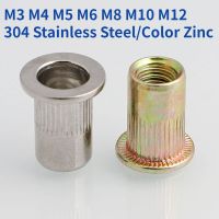 M3 M4 M5 M6 M8 M10 M12 304 Stainless Steel/Color Zinc Flat Countersunk Head Rivet Nut Rivet Insert Nutsert